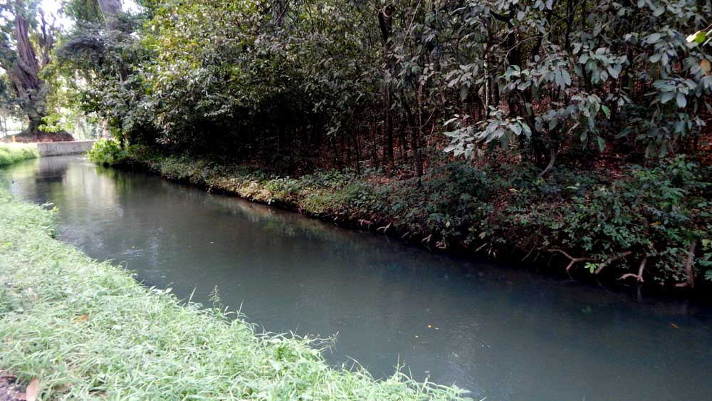 Suitable Swimming Spots 1